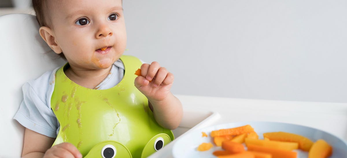 5 Sayuran Tinggi Protein Yang Baik Untuk Kesehatan Momslyfe