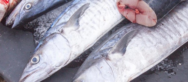 3 Cara Menghilangkan Bau Amis Ikan Menurut Ilmu Sains!