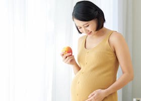 7 Makanan Penambah Berat Badan Ibu Hamil Dan Janin