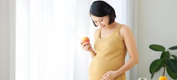 7 Makanan Penambah Berat Badan Ibu Hamil Dan Janin