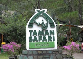 7 Tips Berkunjung Ke Taman Safari Bogor, Biar Lebih Nyaman