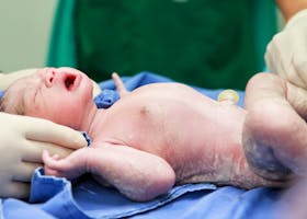 9 Hal Yang Dilakukan Bayi Selama Satu Jam Setelah Lahir