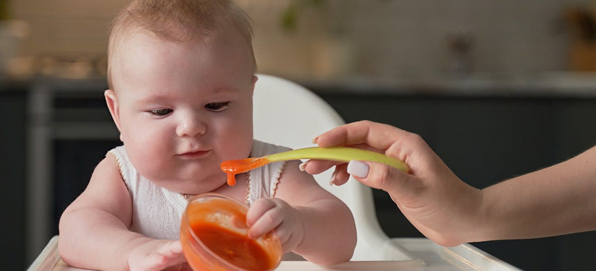 9 Rekomendasi Alat Mpasi Untuk Bayi 6 Bulan Ibupedia