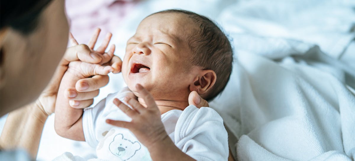 Bayi Menolak Menyusu Asi Ikuti Saja 12 Tips Ini Ibupedia Bayi Menolak Menyusu Asi Ikuti Saja 12 Tips Ini Ibupedia