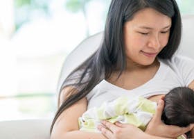 Bikin ASI Makin Lancar, Ini 5 Manfaat Daun Pepaya Untuk Ibu Menyusui