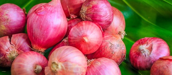 Boleh Dicoba, Ini Cara Menurunkan Panas Anak Dengan Bawang Merah 