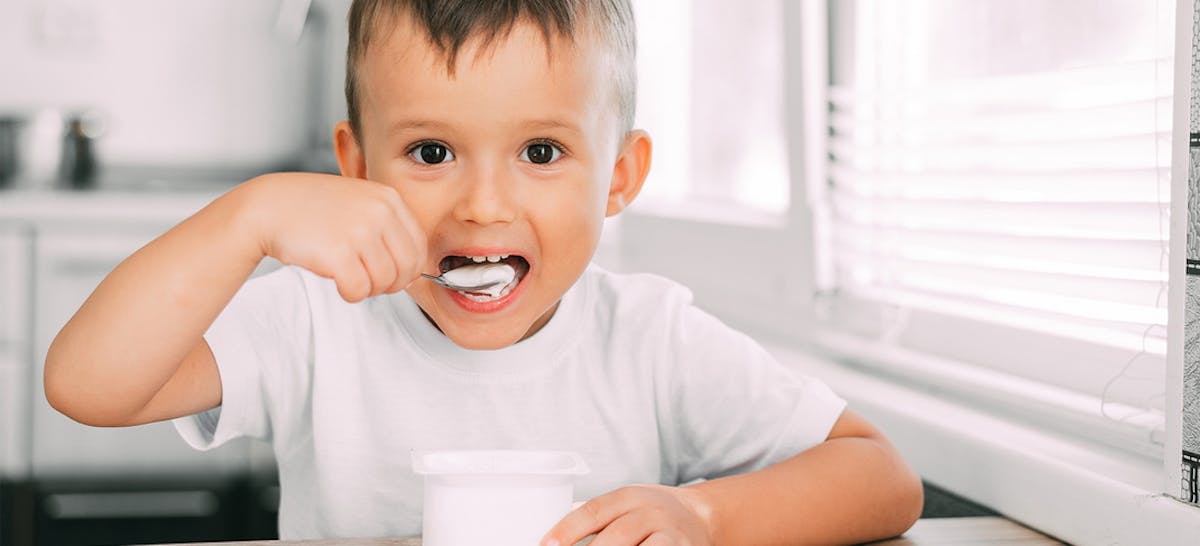 Jangan Sia Siakan Manfaat Dan Merk Yogurt Untuk Anak Terbaik Ibupedia