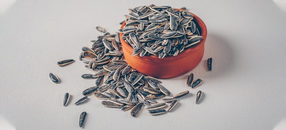 Kaya Serat Dan Vitamin, Bolehkah Ibu Hamil Makan Kuaci?