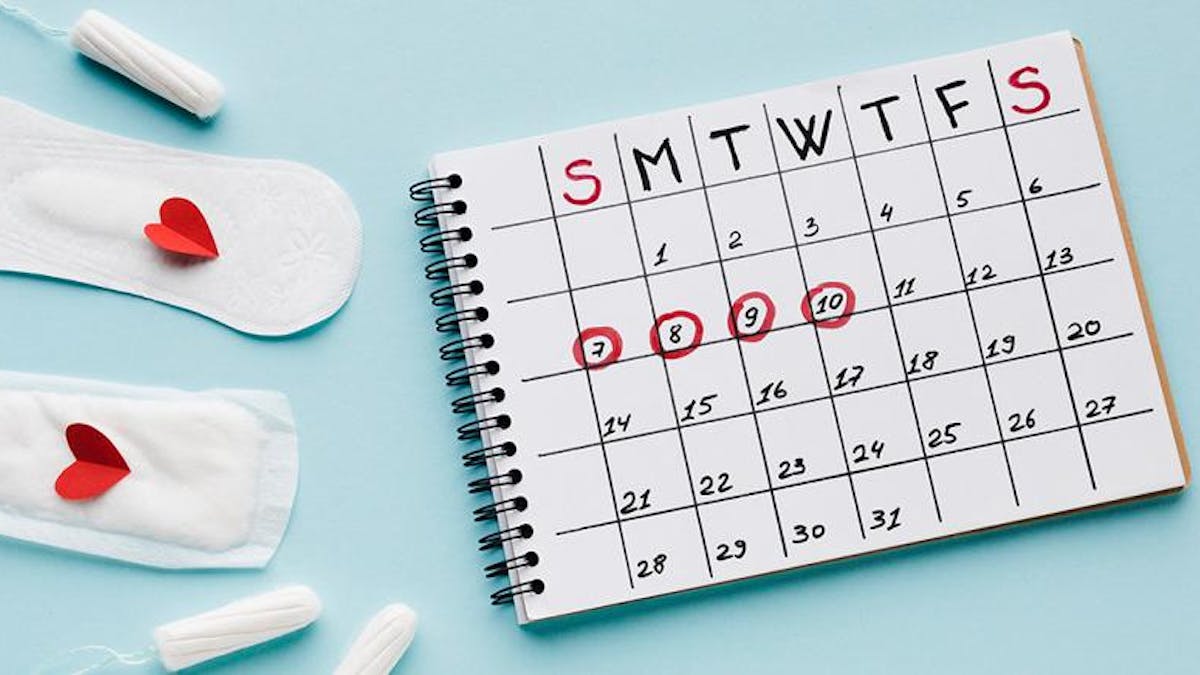 Ketahui Cara Menghitung Masa Subur Yang Tepat Untuk Promil Ibupedia