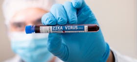 Mengenal Virus Zika: Ketahui Penyebab, Pencegahan, dan Penanganannya