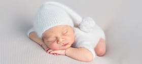 Mitos dan Fakta seputar Gurita Bayi