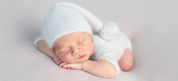 Mitos dan Fakta seputar Gurita Bayi