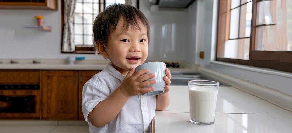 Penuhi Kebutuhan Gizi Sarapan Anak, Bisa Bantu Anak Fokus dan Berprestasi di Sekolah, Loh! 