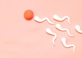 Penyebab Alergi Sperma, Penyakit Langka Yang Harus Diwaspadai