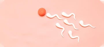 Penyebab Alergi Sperma, Penyakit Langka Yang Harus Diwaspadai