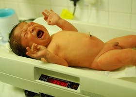 Peranan Penting Ayah dalam Kelahiran Bayi Prematur