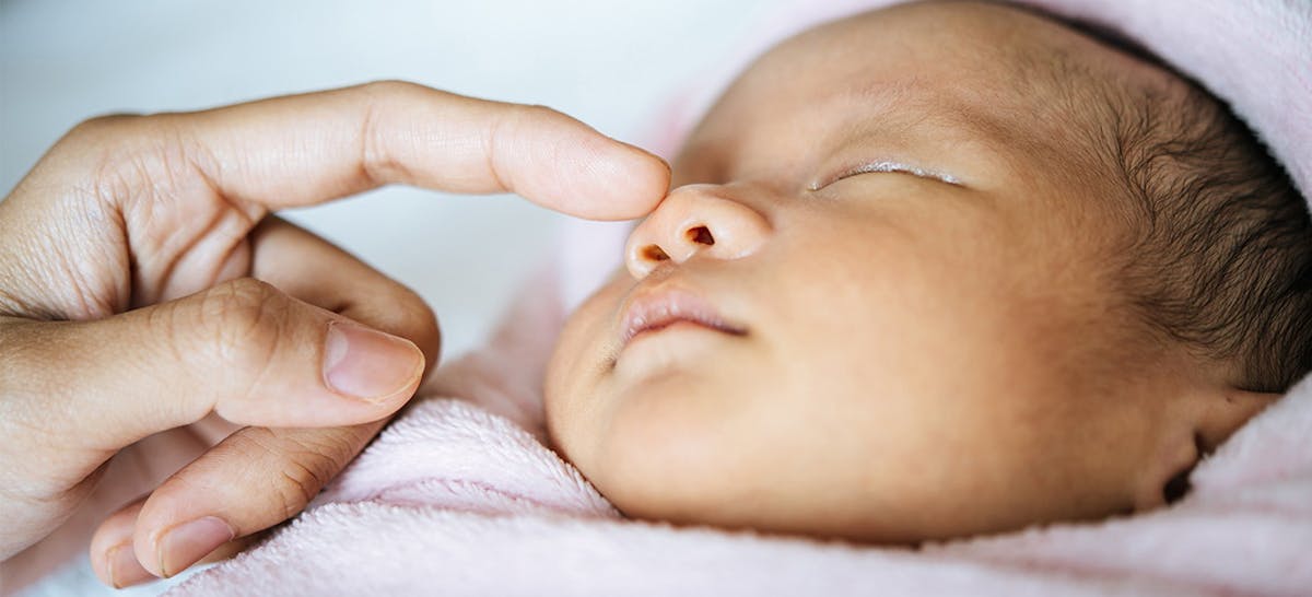 Perkembangan Indera Penciuman Si Kecil Ibupedia Perkembangan Indera Penciuman Si Kecil Ibupedia