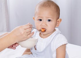Porsi ASI Untuk Bayi Yang Baru Mulai MPASI