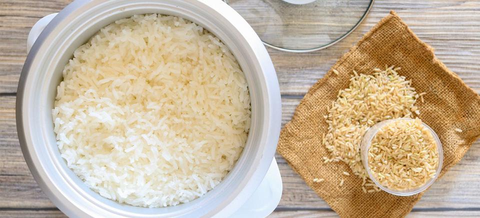 Ternyata Ini Penyebab Nasi Cepat Basi Di Rice Cooker - Ibupedia