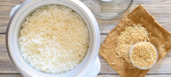 Ternyata Ini Penyebab Nasi Cepat Basi Di Rice Cooker