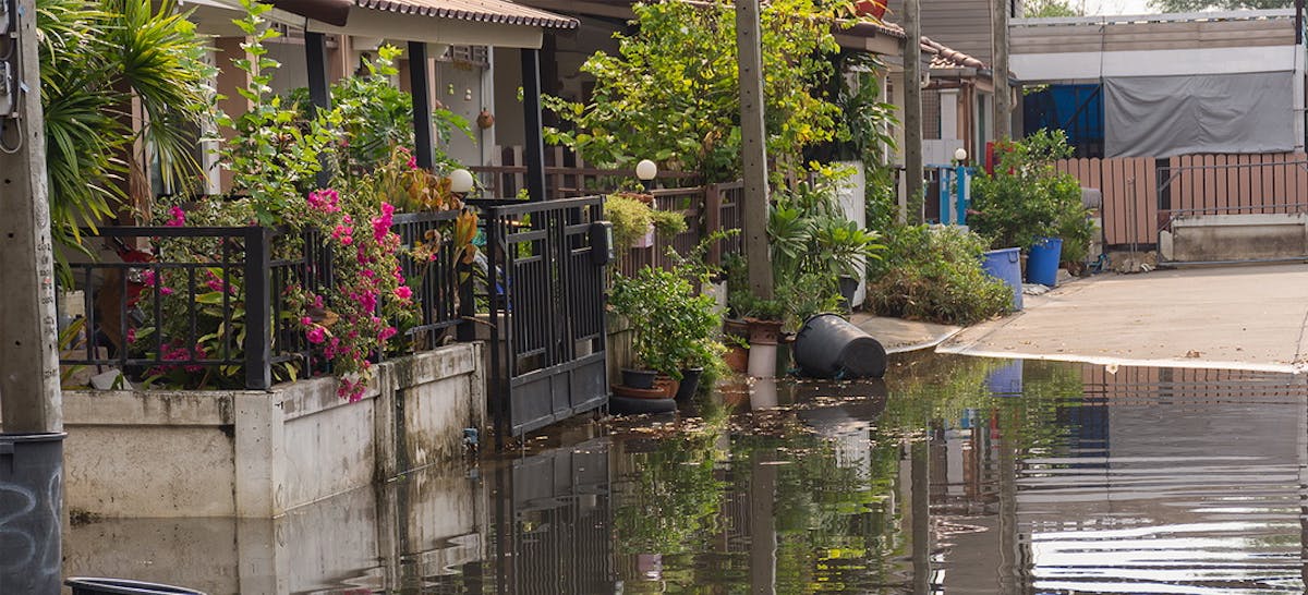  Tips  Membersihkan  Rumah  Setelah Banjir  Ibupedia