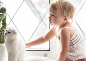 Tips Memelihara Kucing Yang Aman, Meski Anak Alergi 