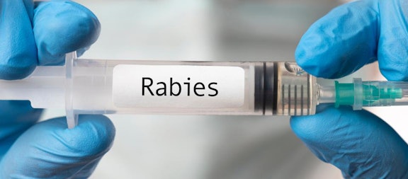 Waspada Rabies! Penyakit Mematikan Yang Serang Hewan Dan Manusia