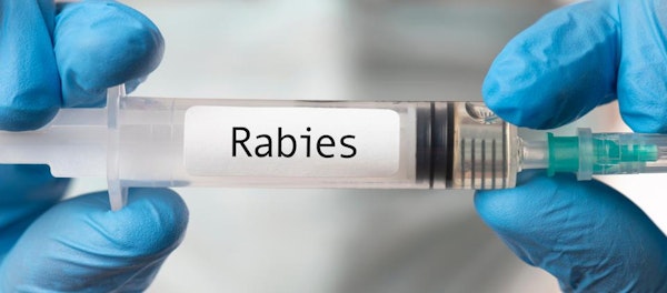 Waspada Rabies! Penyakit Mematikan Yang Serang Hewan Dan Manusia