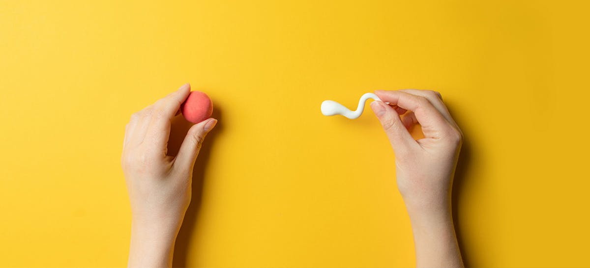 Wow Ternyata Biaya Bayi Tabung Tak Lagi Semahal Dulu Ibupedia Wow Ternyata Biaya Bayi Tabung Tak Lagi Semahal Dulu Ibupedia